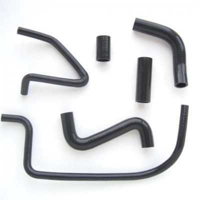 Durites silicone Healey